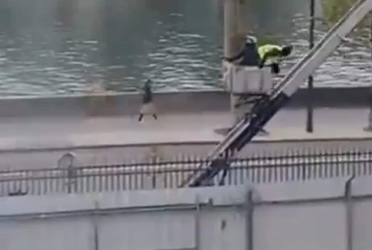 Cambriolage au Louvre vidéo fuite voleurs