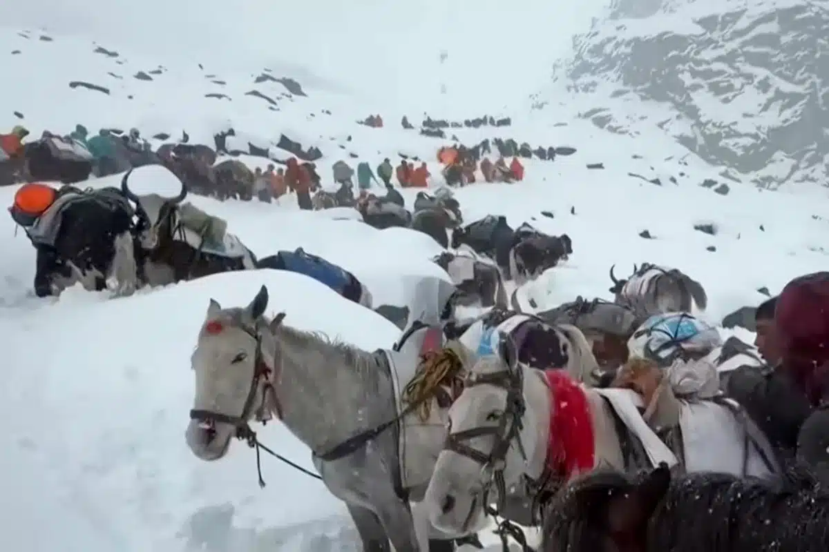 Everest Sauvetage Victimes