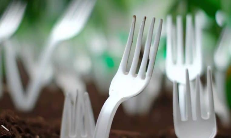 Fourchette en plastique dans le potager