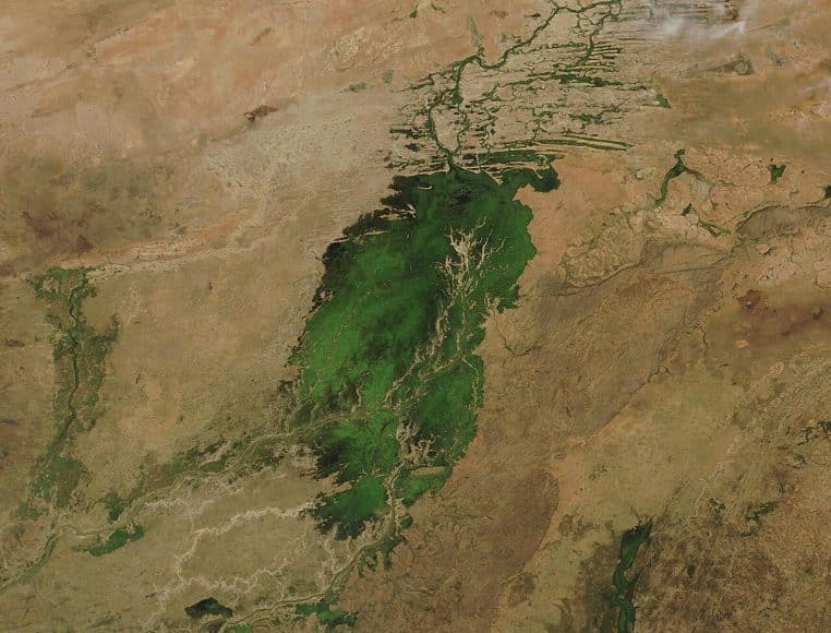 Image MODIS du delta intérieur du Niger en fin de saison des pluies, les zones inondées contrastant avec les terres plus sèches voisines.
