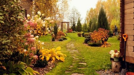 Jardin Automne Design