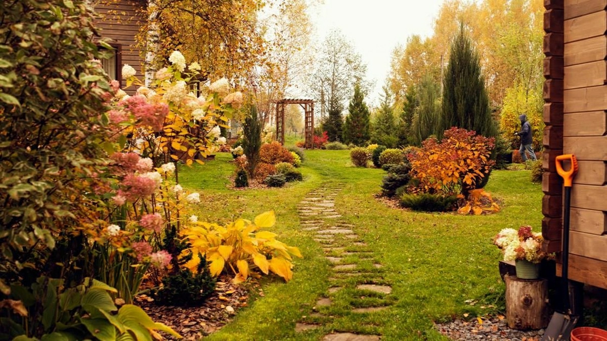 Jardin Automne Design