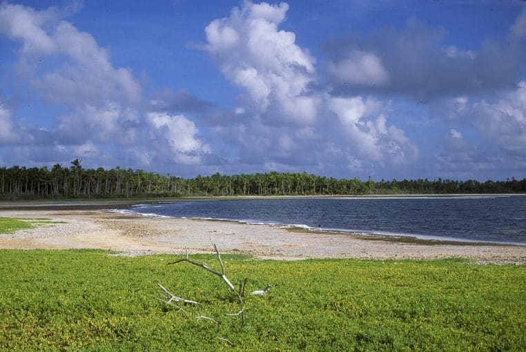 Large vue sur la lagune intérieure de Manra, aux eaux calmes et berge sableuse, paysage d’atoll en évolution naturelle.