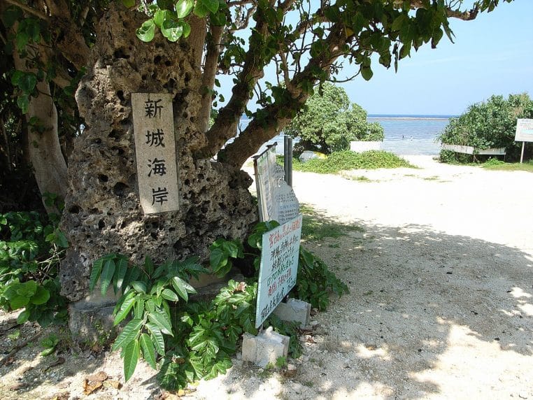 Entrée ombragée de la plage d’Aragusuku à Miyako, sable clair et mer peu profonde au loin, ambiance insulaire typique d’Okinawa.