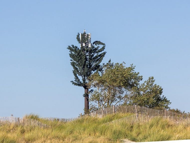 Mât de téléphonie mobile dissimulé en arbre.