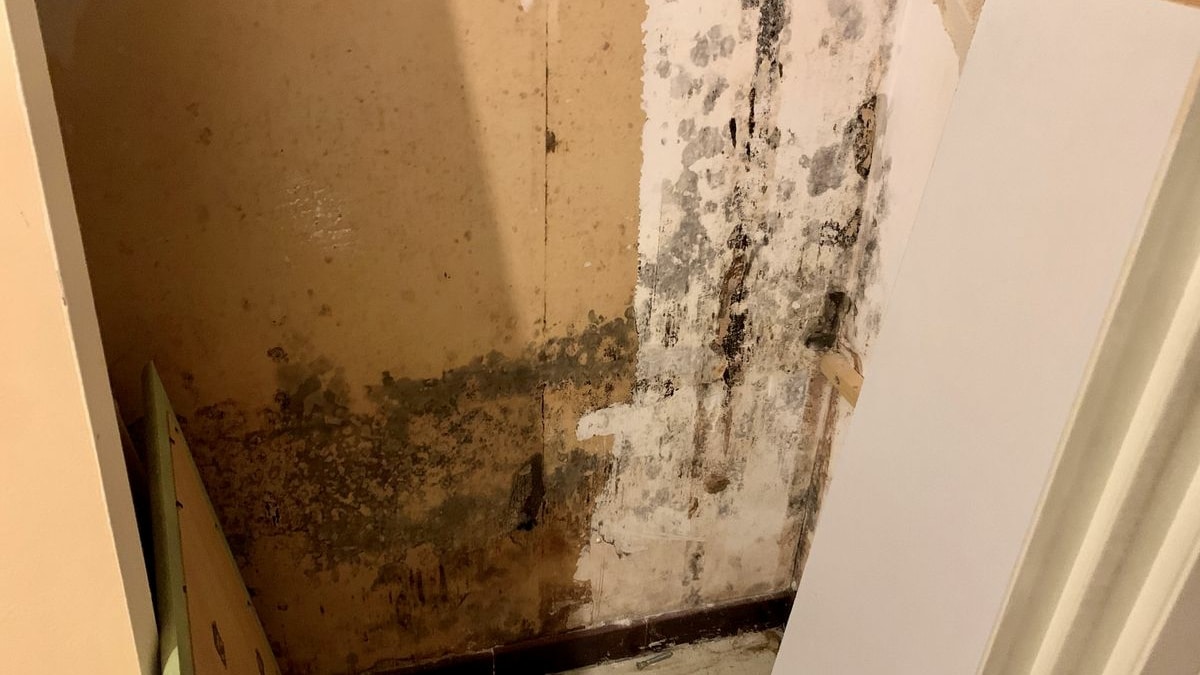 Moisissure Maison Cachette