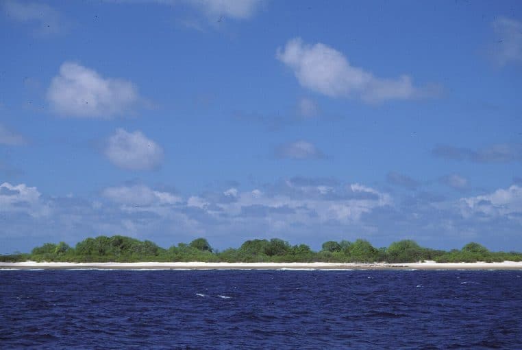 Vue panoramique de l’extrémité est d’Orona avec végétation littorale et plage blanche, prise depuis un bateau dans les îles Phoenix, Kiribati.