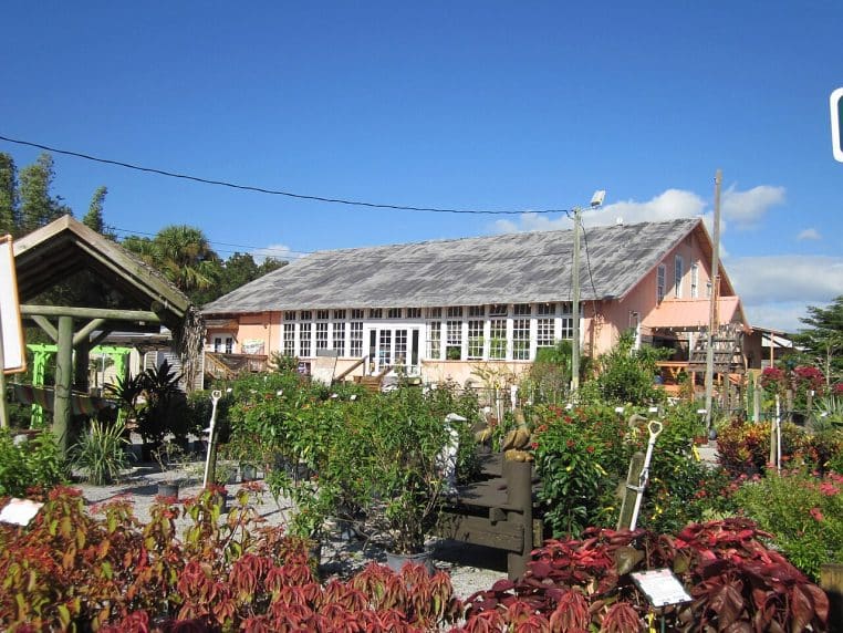 Allée de plantes et arbustes devant le bâtiment principal de Rockledge Gardens sous un ciel bleu.