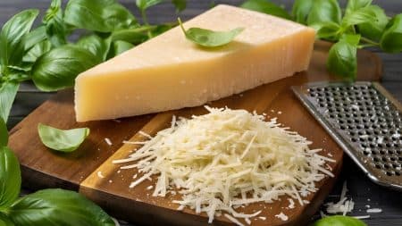 Parmesan Fabrication