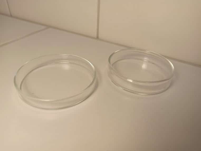 Boîtes de Petri empilées sur un plan de travail de laboratoire, éclairage néon, atmosphère analytique.