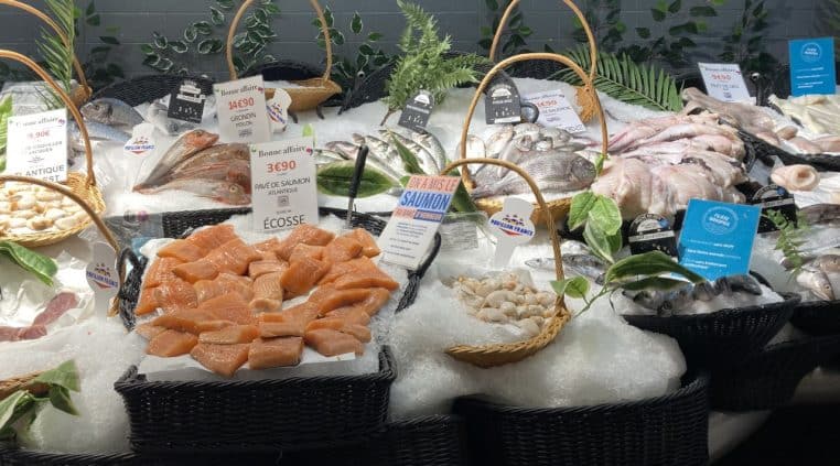 Étals de poissons sur glace en supermarché, vue large des bacs réfrigérés.