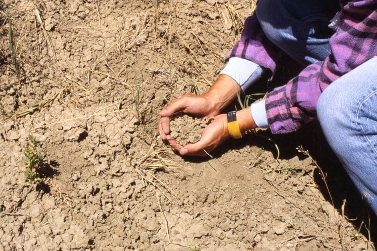 Jardinier évaluant une motte de sol desséchée en surface, scène montrant l’importance d’observer la structure du terrain.