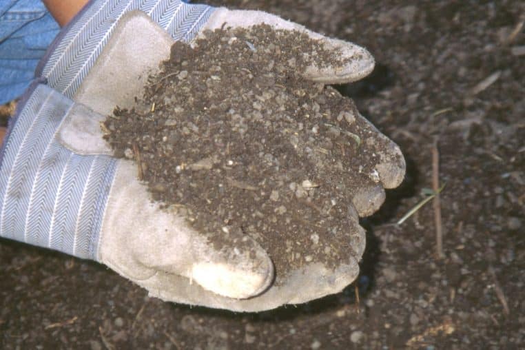 Mains gantées présentant une poignée de terre émiettée, mettant en valeur la granulométrie et la richesse organique.