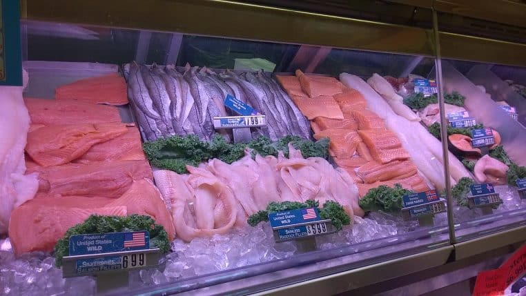 Comptoir de poissons et fruits de mer sur lit de glace, vue de face.