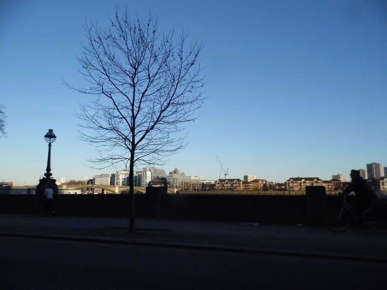 La Tamise bordant Cheyne Walk.