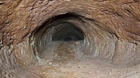 Tunnels Bresil Paresseux