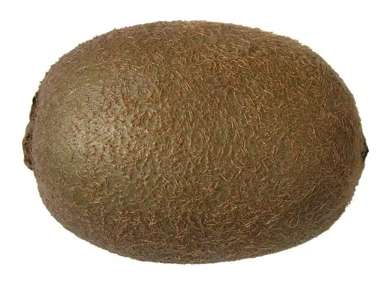 Kiwi entier sur fond clair.