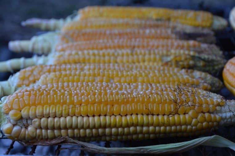 Gros plan de plusieurs épis de maïs grillant sur une grille au barbecue, grains bien dorés.