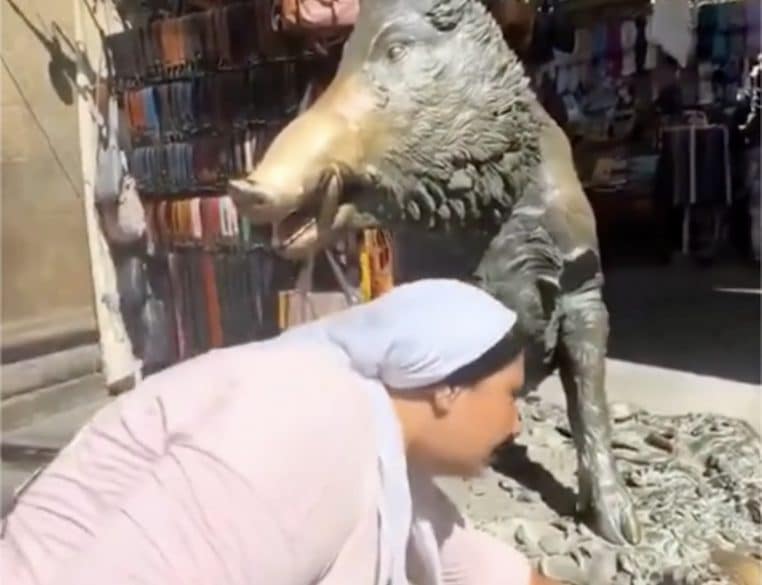 Femme vole argent de la fontaine du Sanglier