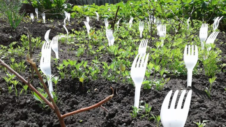 Fourchette en plastique dans le potager