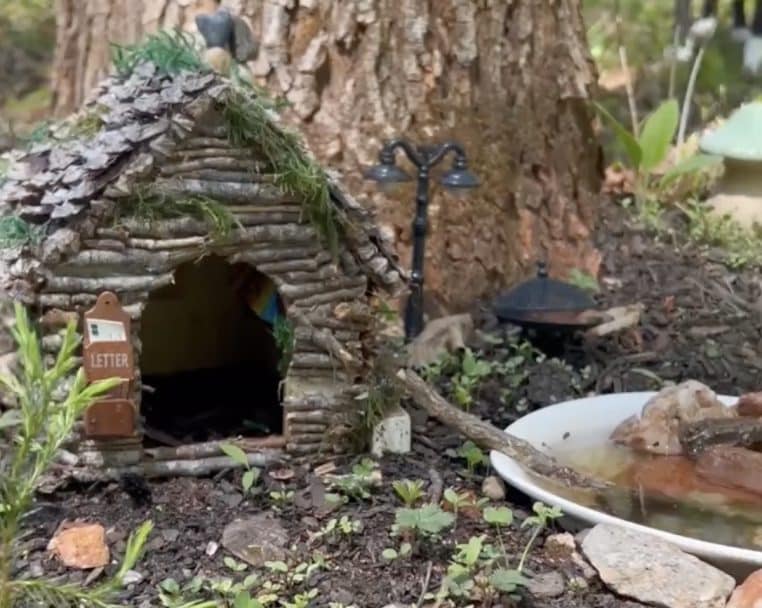 Maison pour le petit animal, Mr Toad