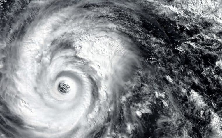 ouragan Melissa requin