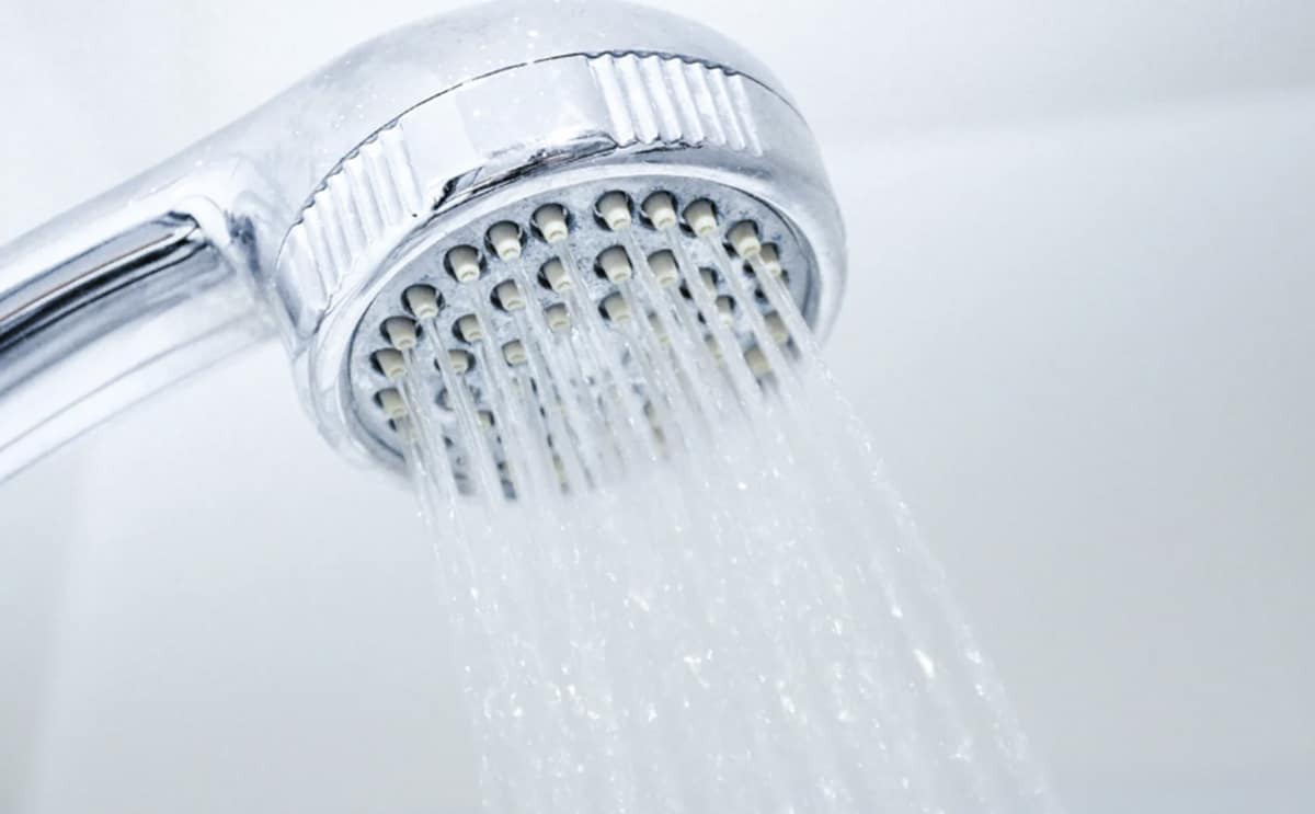 pommeau de douche bactéries étude