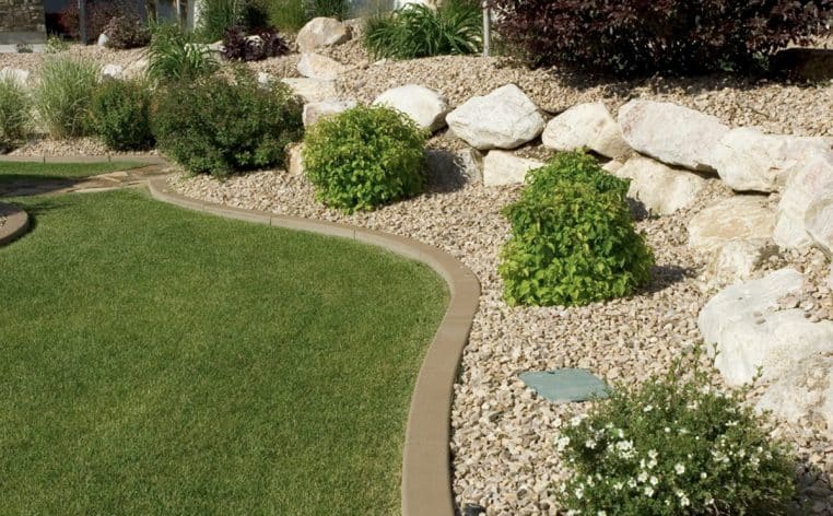 potager jardin plante