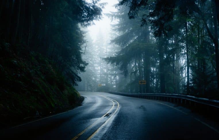 Route sombre traversant une forêt brumeuse la nuit, silhouettes de troncs.