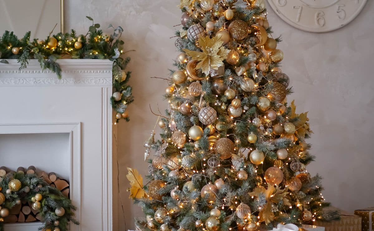 sapin de Noël Lidl actu