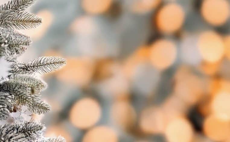 sapin de Noël Lidl actu