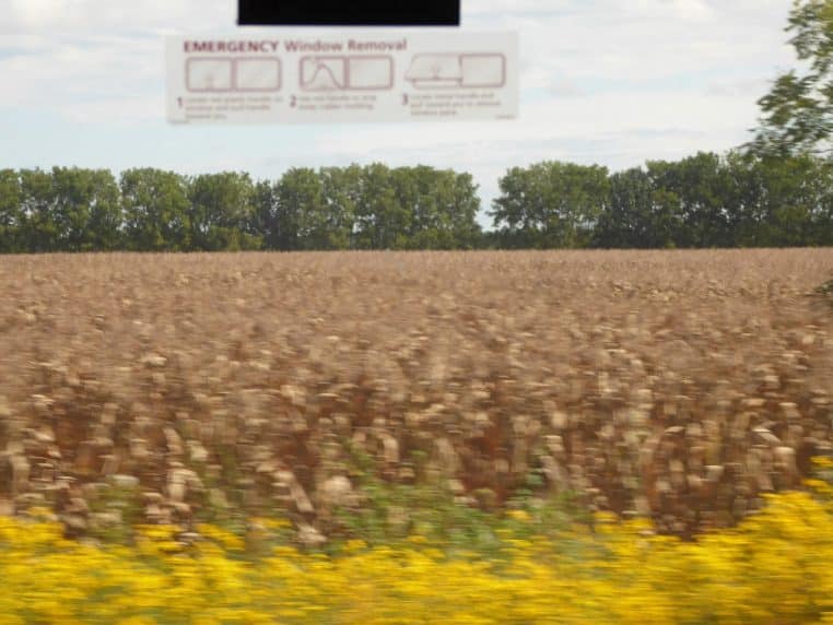 Paysage flou vu depuis la fenêtre d’un train