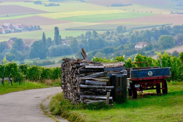 Rangées de bûches le long d’un vignoble et d’un chemin