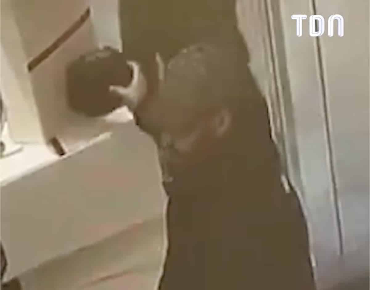 Vol sac Louis Vuitton à Londres