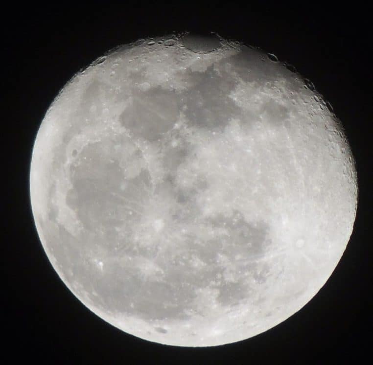 Pleine Lune de novembre sur ciel nocturne en Floride, image large et nette en orientation horizontale.