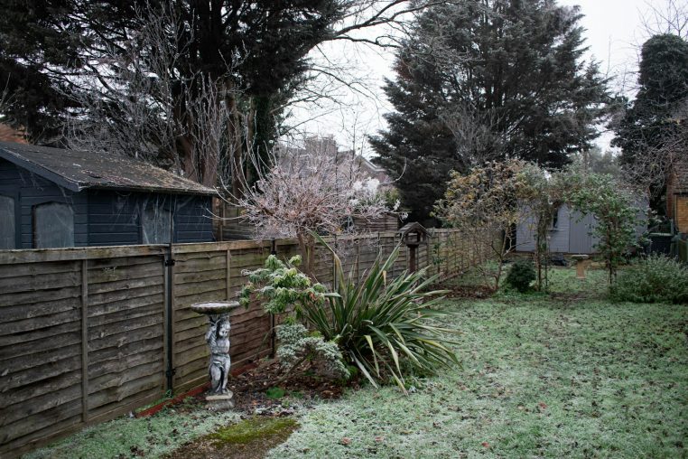 Jardin en hiver