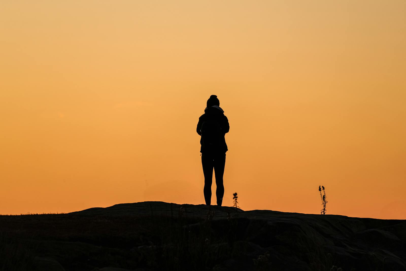 Silhouette of a person at dawn in Stamford, Connecticut's Cove Island Park.