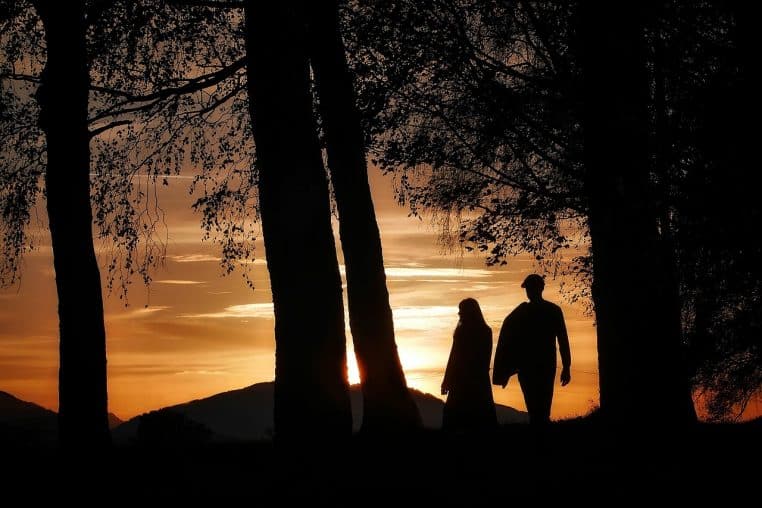 walk, few, path, nature, people, to stroll, hike, man, woman, as a couple, landscape, evening atmosphere, backlighting, trees