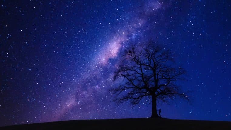 A captivating view of the starry night sky highlighting the Milky Way with a lone tree silhouette.