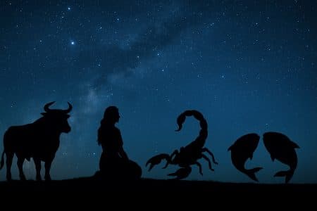 Silhouettes du Taureau, de la Vierge, du Scorpion et des Poissons devant un ciel étoilé, pour une fin 2025 pleine de bonheur.