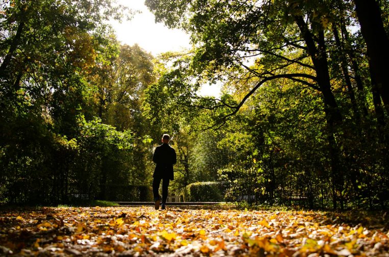 Man walking through a sunlit forest path covered with fall leaves, creating a tranquil autumn atmosphere.