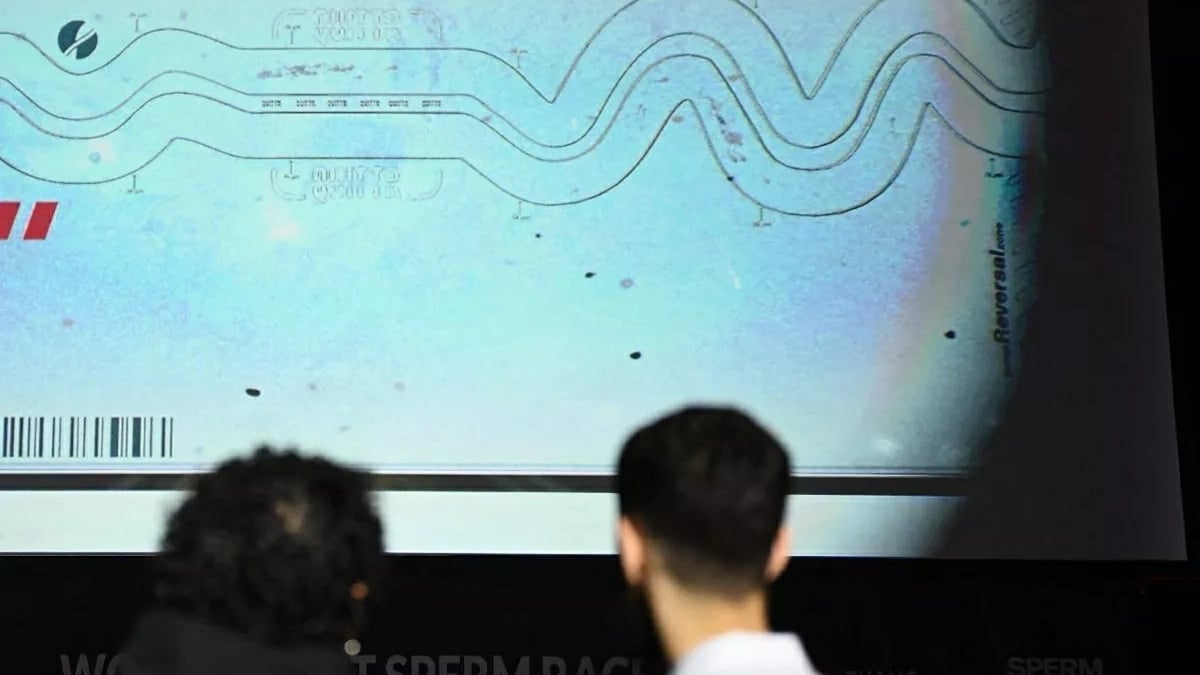 Adolescents Course Sperme