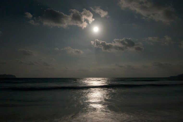 Paysage naturel français éclairé par la lune, composition horizontale détaillant eau et arbres.