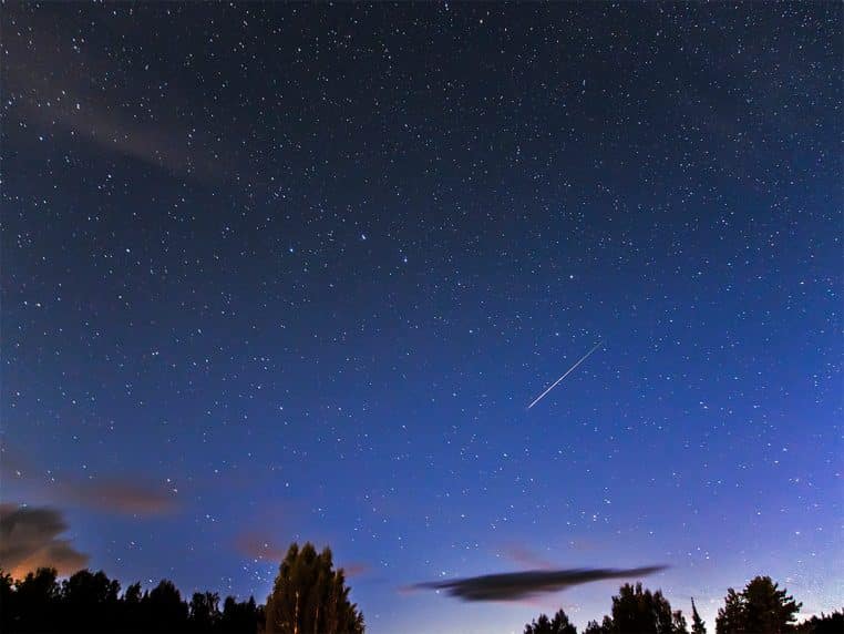 Paysage nocturne avec horizon de forêt sombre sous un ciel bleu profond constellé d’étoiles et une étoile filante traversant la voûte céleste.