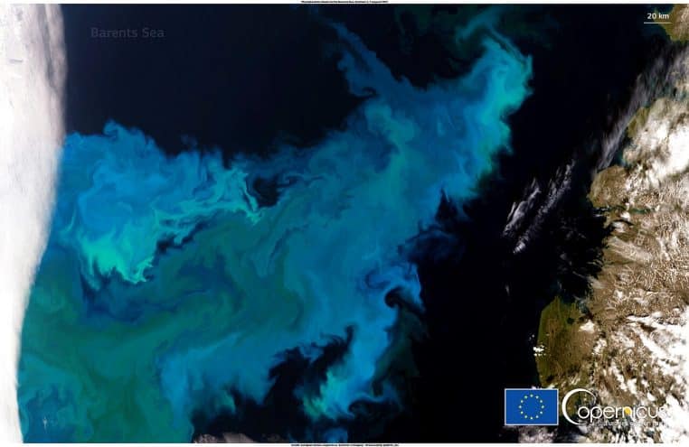 Vue satellite d’un immense bloom de phytoplancton vert et turquoise dans la mer de Barents, dessinant des arabesques contrastées sur l’océan sombre.