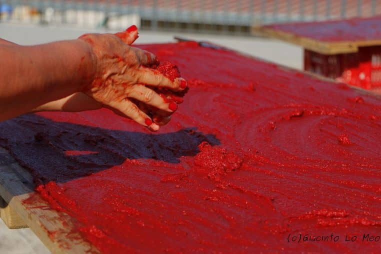 Plateau de tomates séchées au soleil en cours de préparation d’un concentré artisanal traditionnel en extérieur.