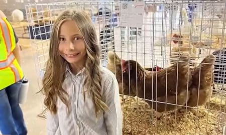 Fillette vend ses poules