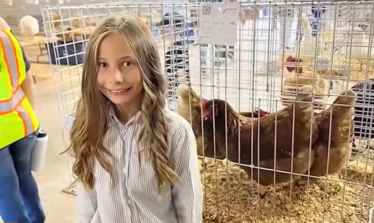 Fillette vend ses poules