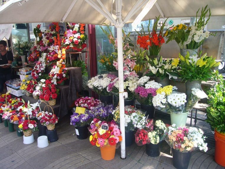 Étal de fleurs colorées sur la Rambla, large composition de bouquets et feuillages, angle large, orientation paysage.