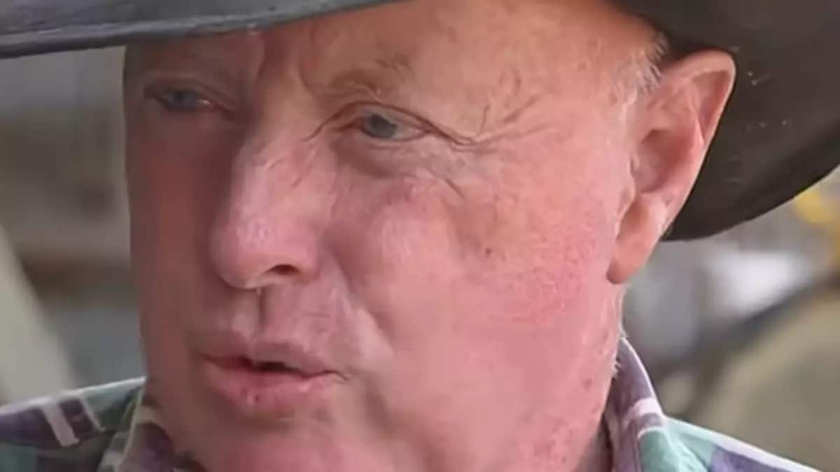 Homme Organes Genitaux